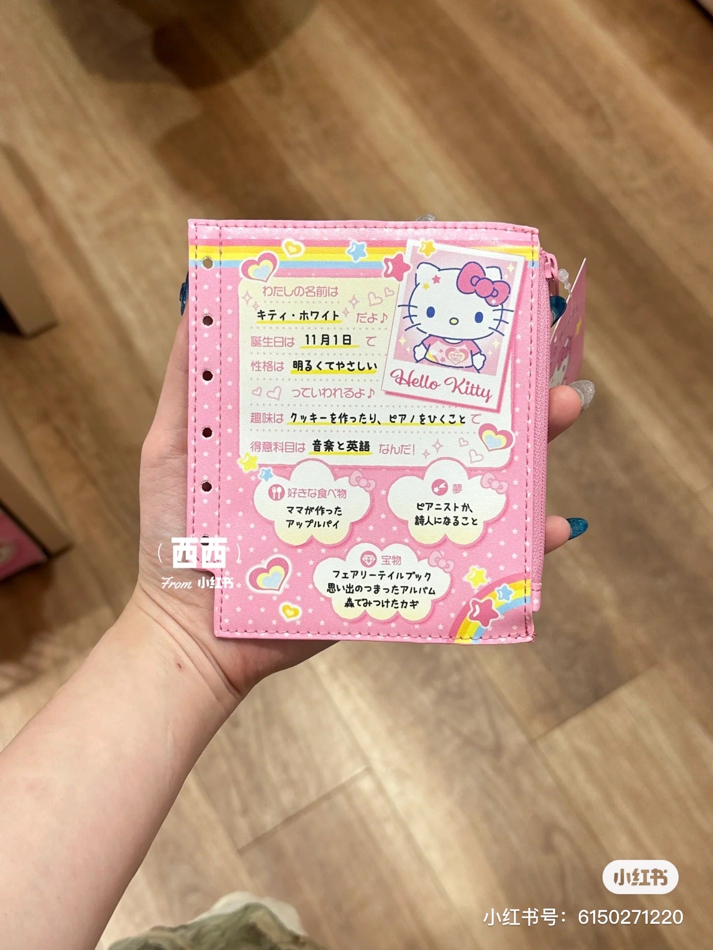 Sanrio|Nostalgic Profile Book Mini Pouch |12×0.8×14cm approx.