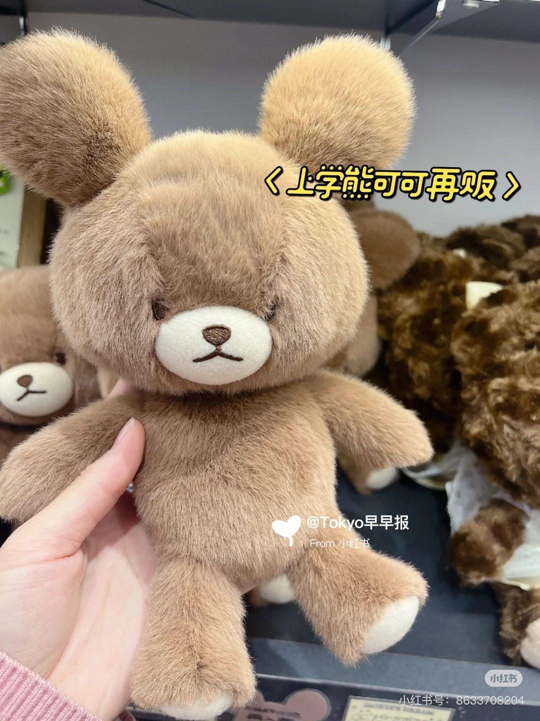 The bear’s school上学熊|学院限定Jackie fluffy超柔软玩偶/公仔/手感超好|约H22×W14×D9cm