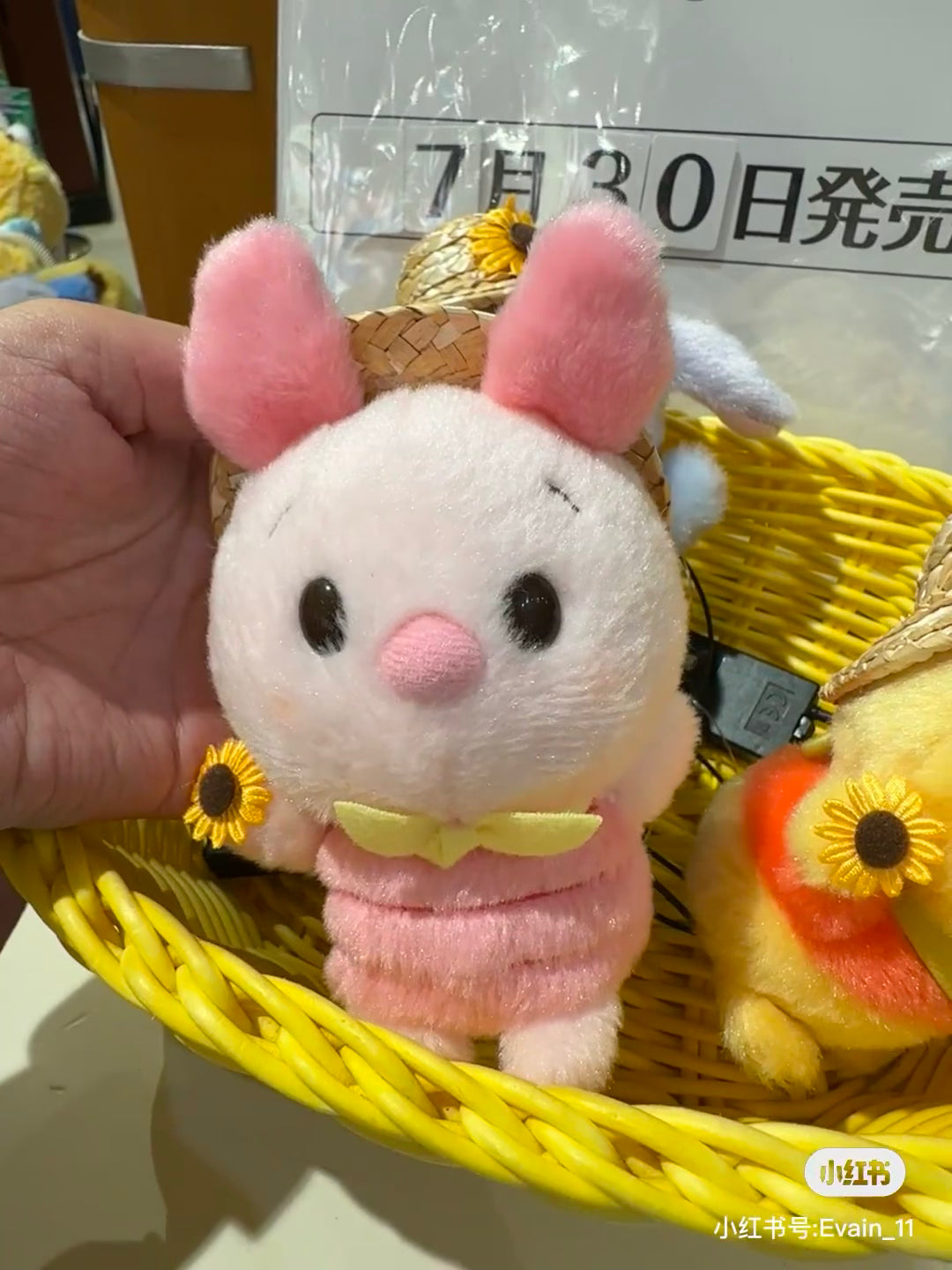 Disney|2024 Winnie the Pooh草帽豆豆眼玩偶/手玉|約高さ11.5×幅8.5×奥行き9cm