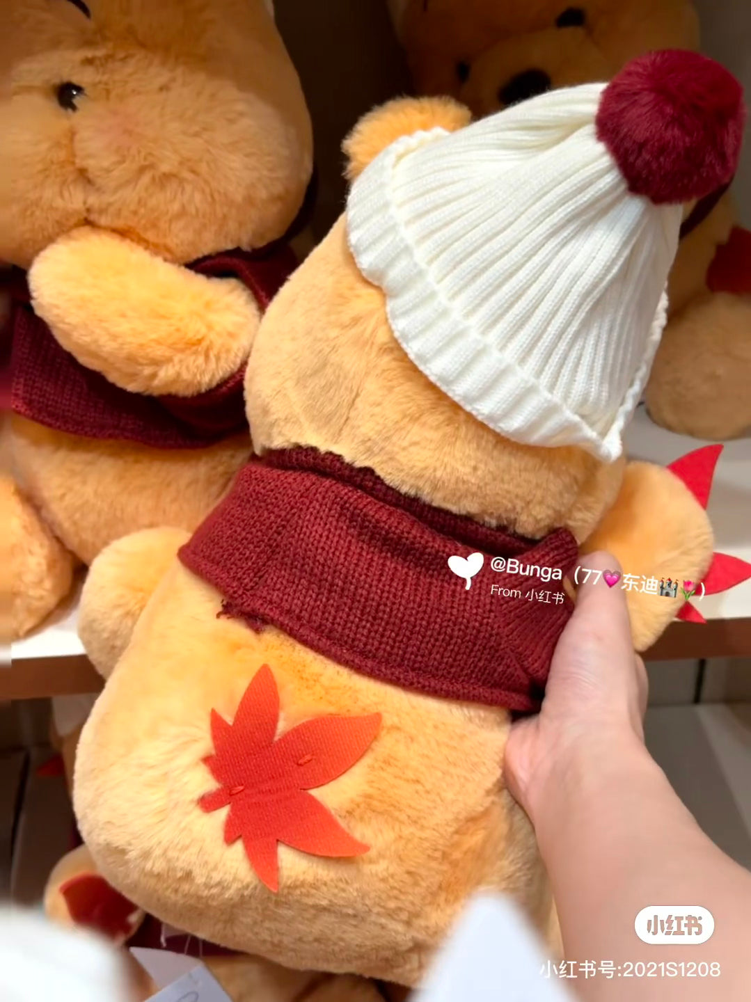 Disney|Momiji Winnie the Pooh Plush Dolls/Plush Toy|H35×W23×D25cm approx.