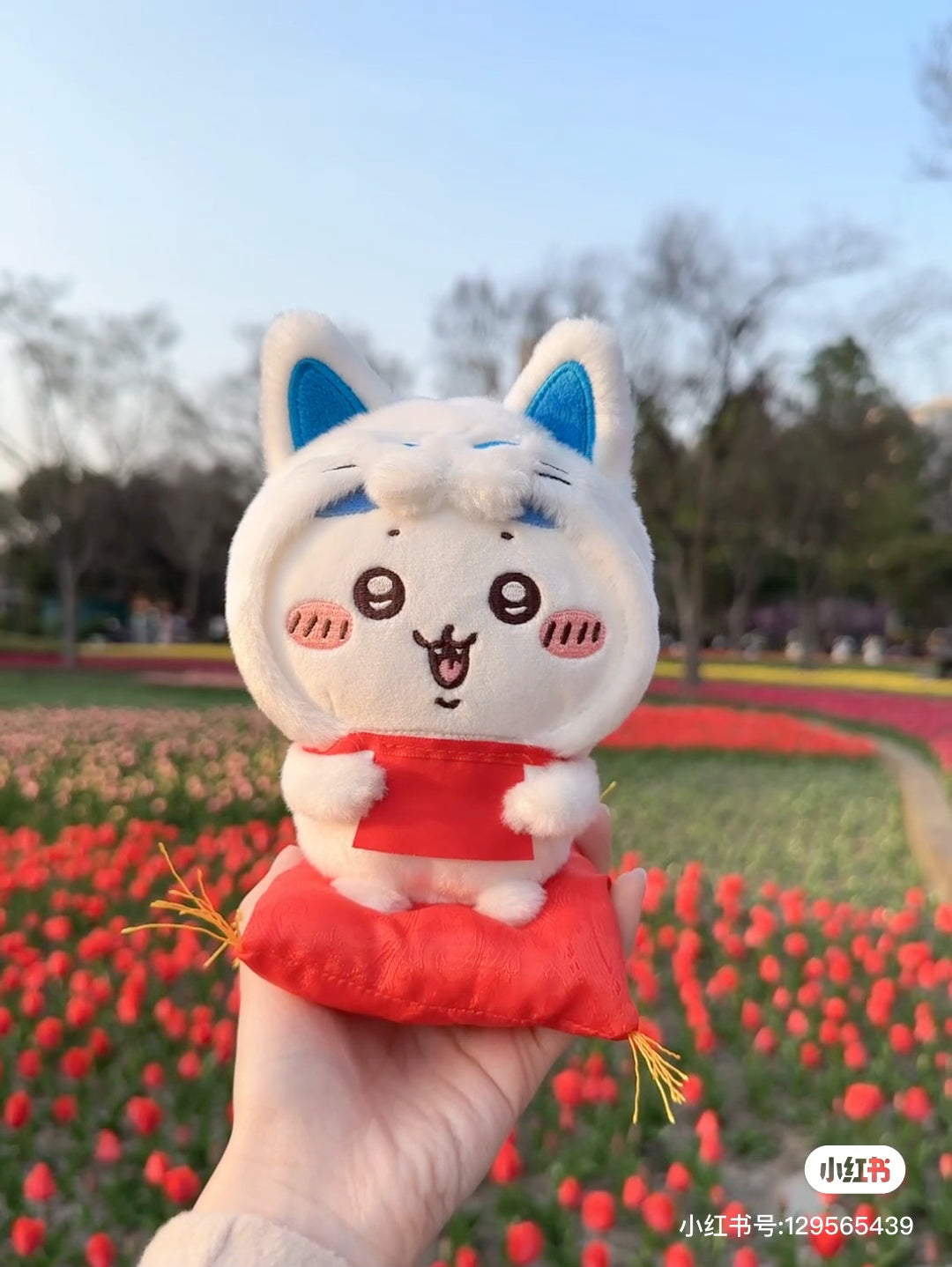 Chiikawa |Fushimi Inari Plush Dolls/Plush Toy|H190×W160×D155mm approx.