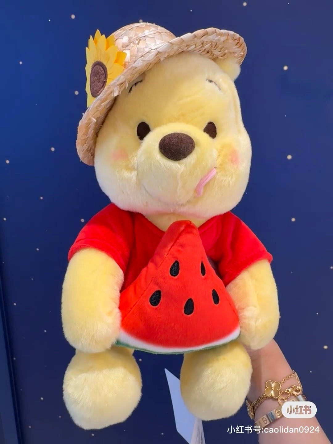 Disney|2024 Winnie the Pooh草帽系列公仔|約高さ26×幅14.5×奥行き18cm