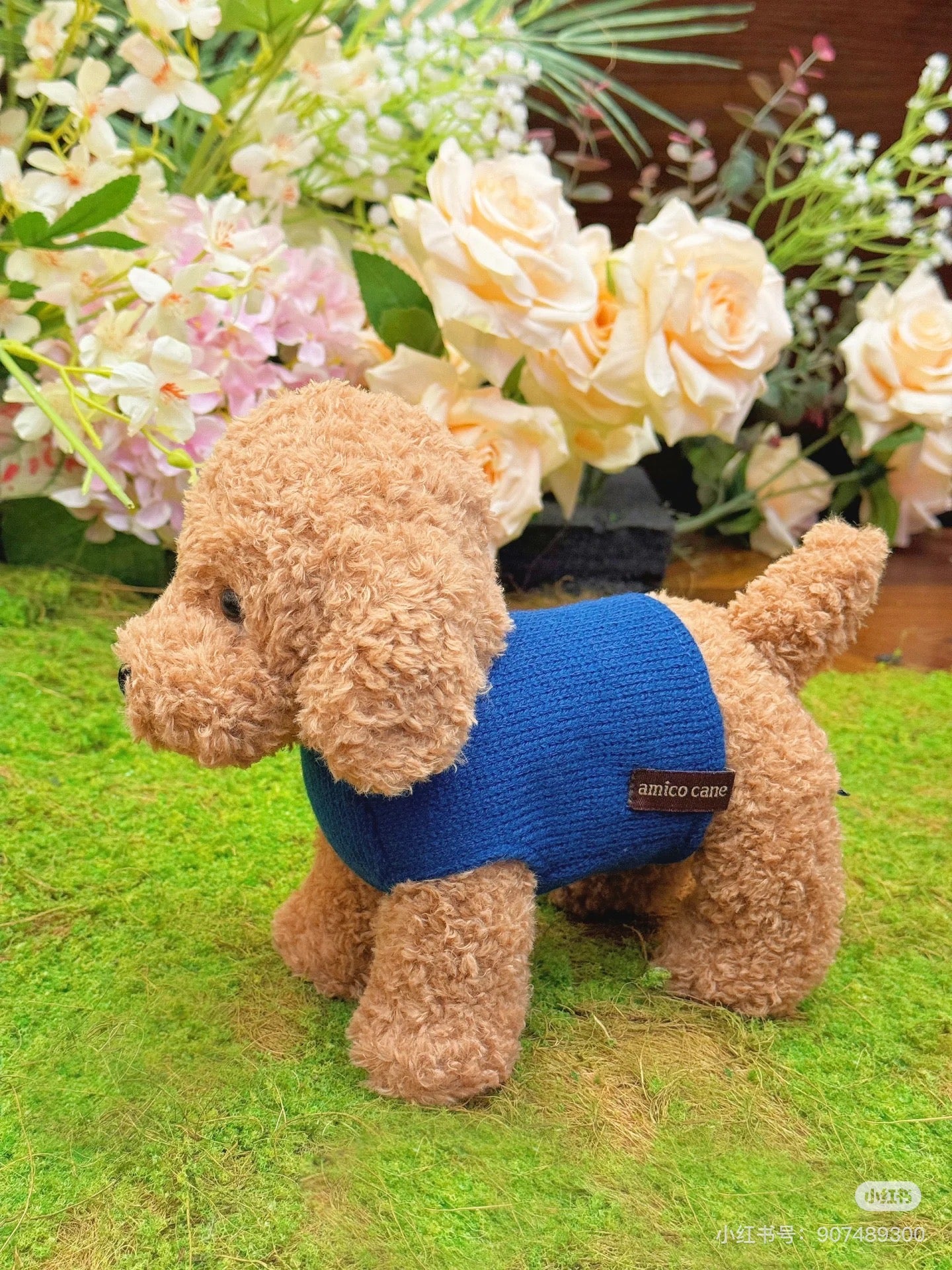 Sunlemon|Plush Doll amico cane - Toy Poodle Beige (M) |H20×W14×D25cm approx.
