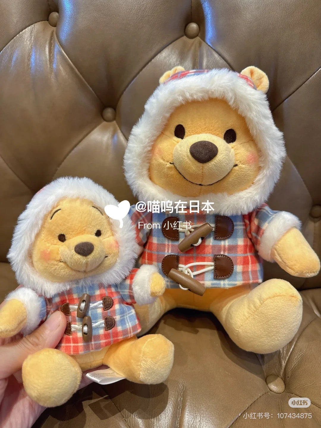 Disney迪士尼|Winter Jacket Doll东迪冬日限定格纹大衣斗篷坐姿毛绒玩偶/公仔|约高さ23×幅20×奥行き16(cm)