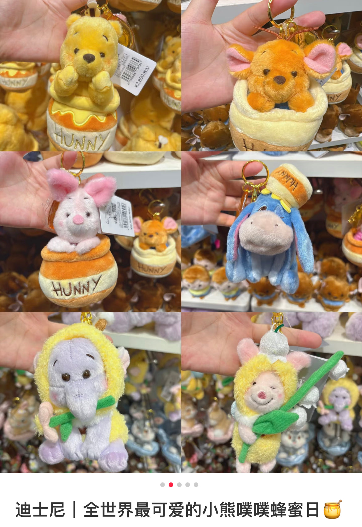 【limit 1】Disney|HONEY DAY Limited Edition 2025 Mascot Holder /Plush Keychain|H16×W12×D10cm approx.