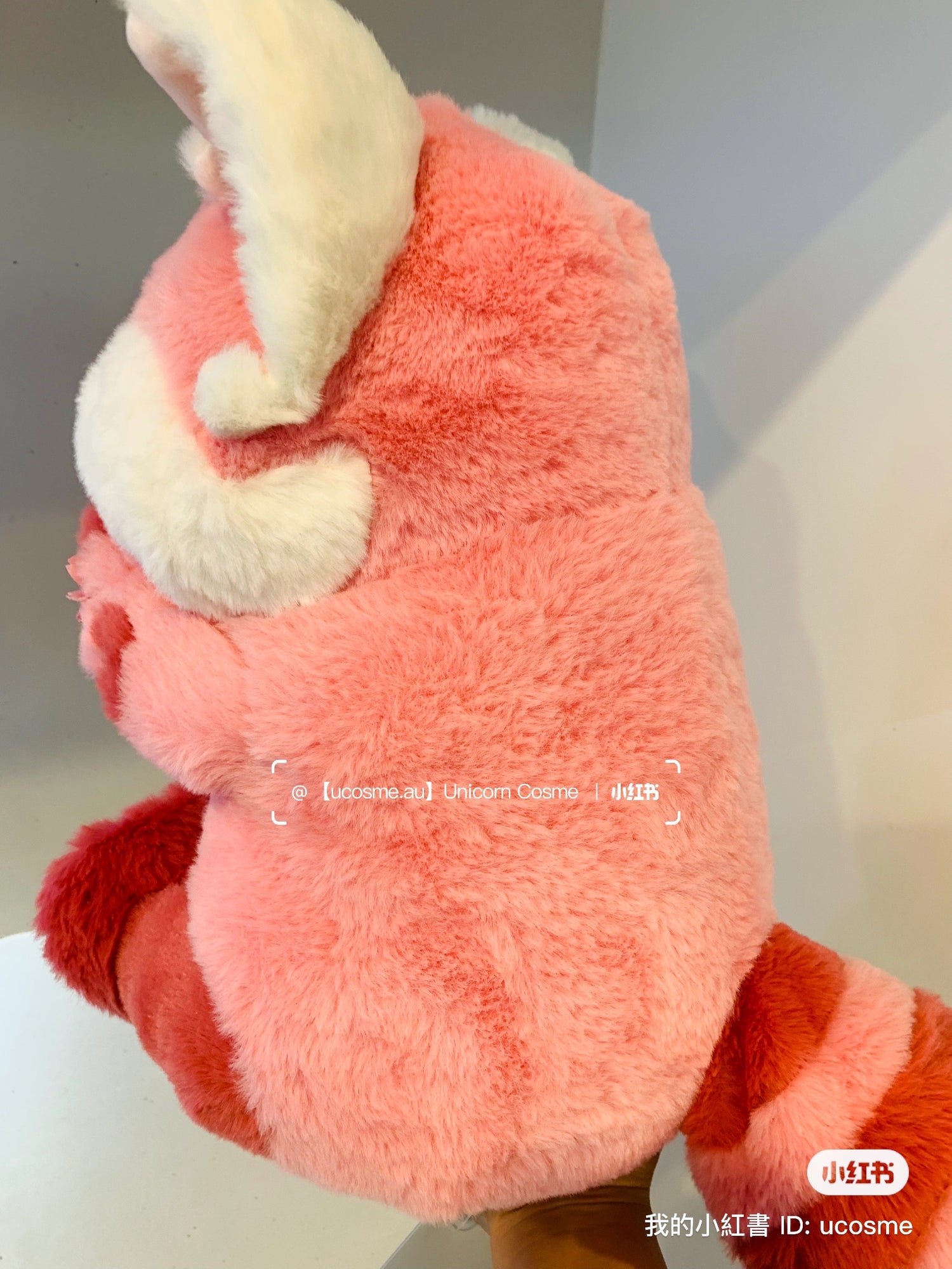 Disney|2024浪漫淡粉樱限定粉色樱花公仔/玩偶