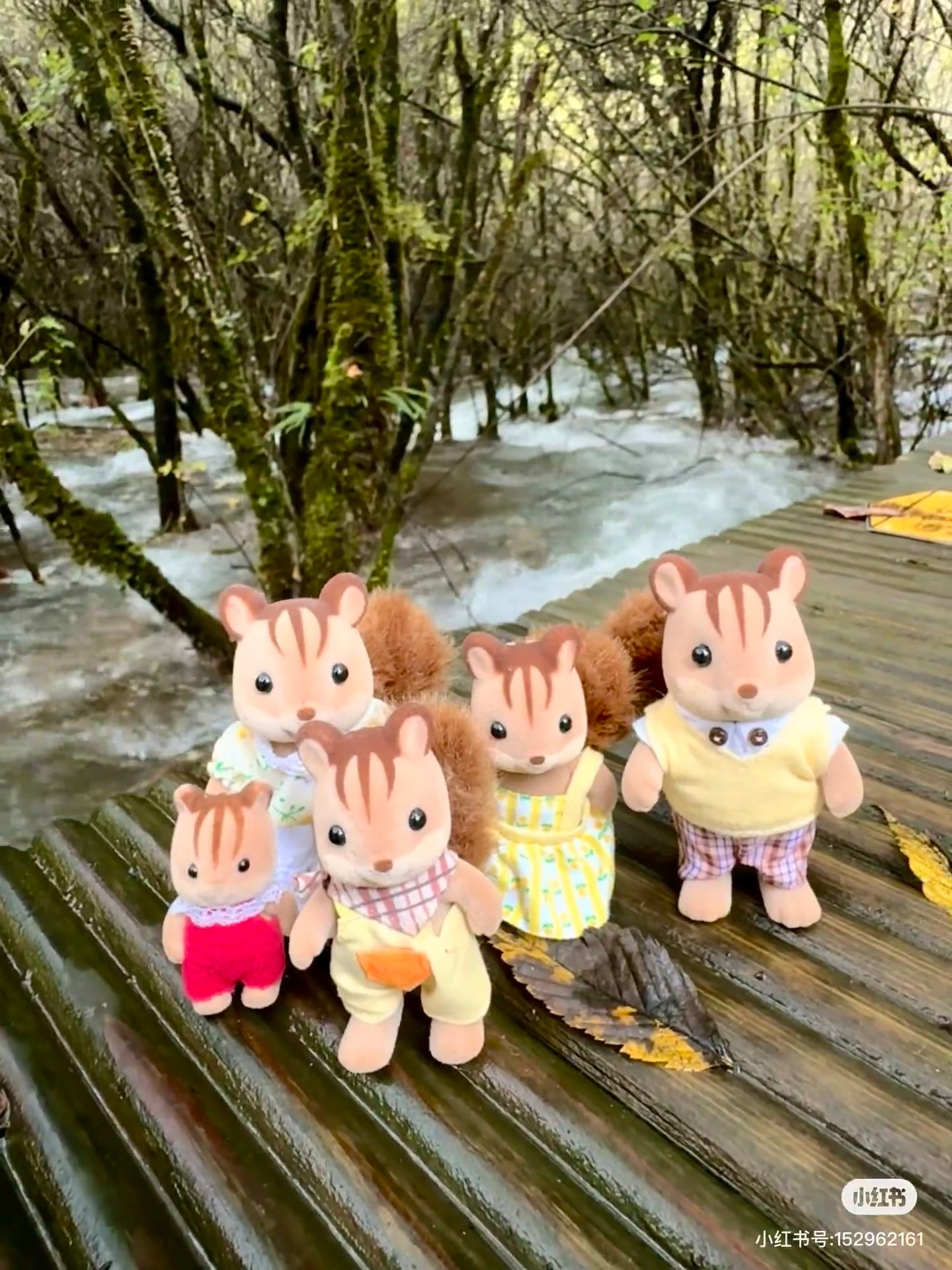 SylvanianFamilies|Walnut Squirrel Girl Doll