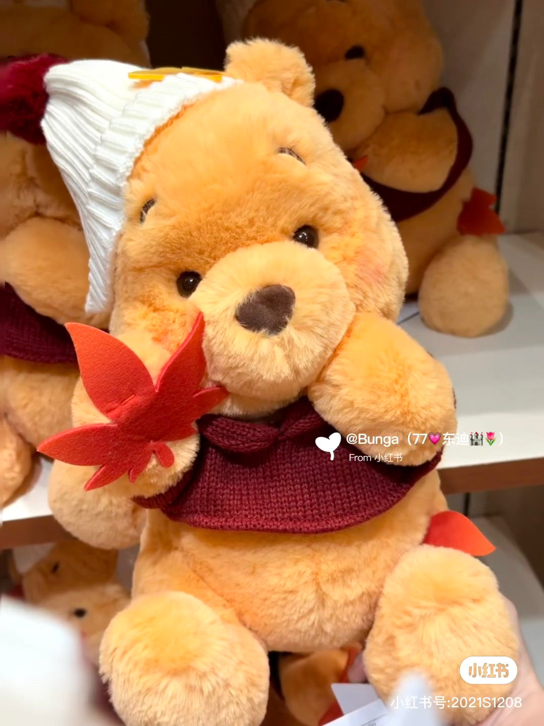 Disney|Momiji Winnie the Pooh Plush Dolls/Plush Toy|H35×W23×D25cm approx.