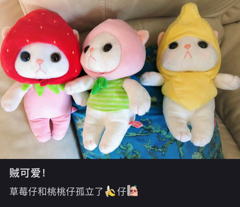 choo choo cat|White cat Plush Dolls/Plush Toy-S|H18cm approx.