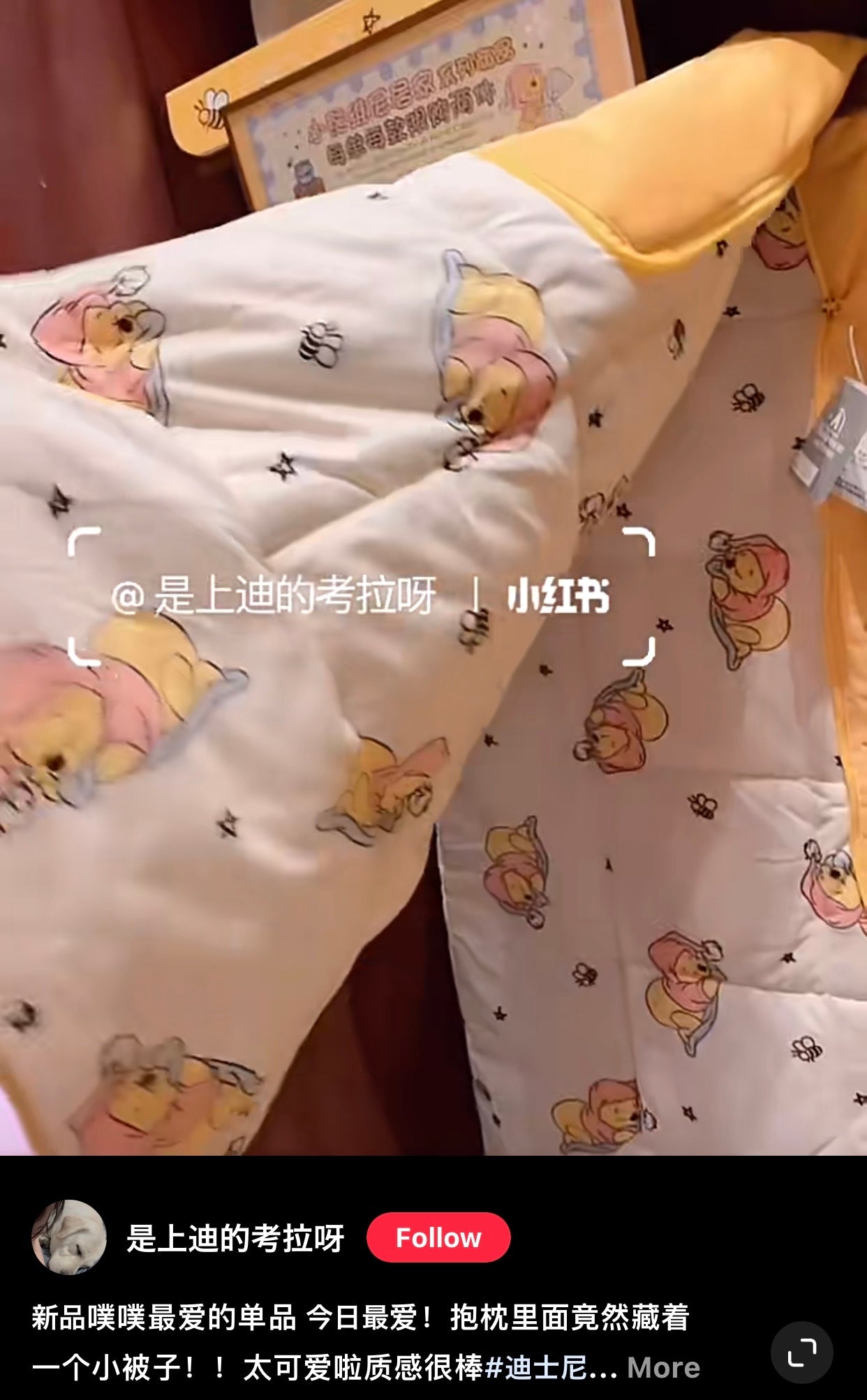 Disney SH|winnie the pooh维尼/噗噗小被子抱枕/打开后小被子超赞/又软又美