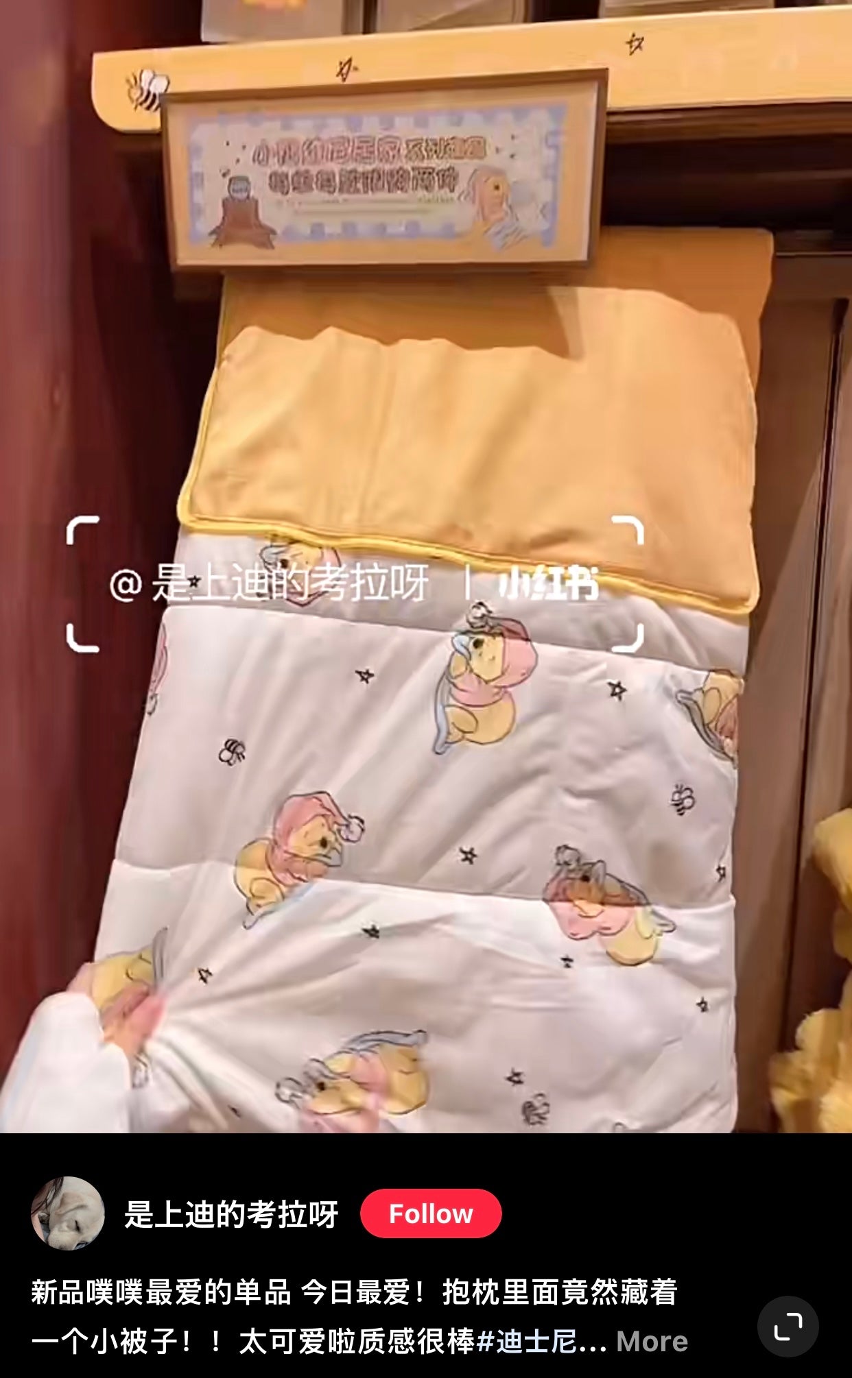 Disney SH|winnie the pooh维尼/噗噗小被子抱枕/打开后小被子超赞/又软又美