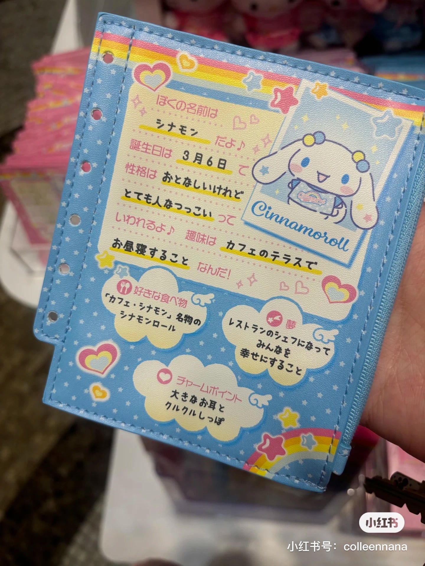 Sanrio|Nostalgic Profile Book Mini Pouch |12×0.8×14cm approx.