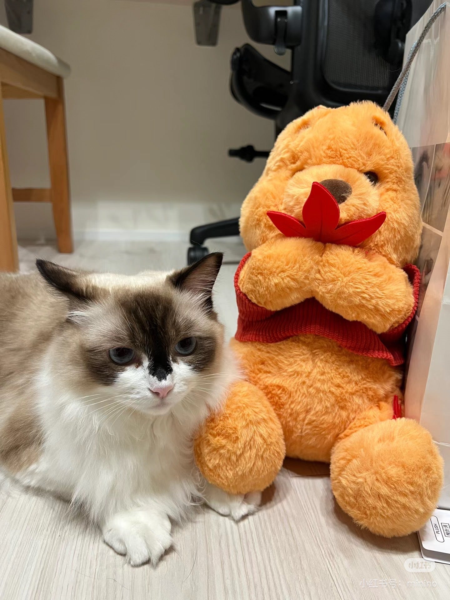 Disney|Winnie the pooh日本限定枫叶噗噗毛绒公仔/玩偶|高さ33×幅19×奥行き21(cm)