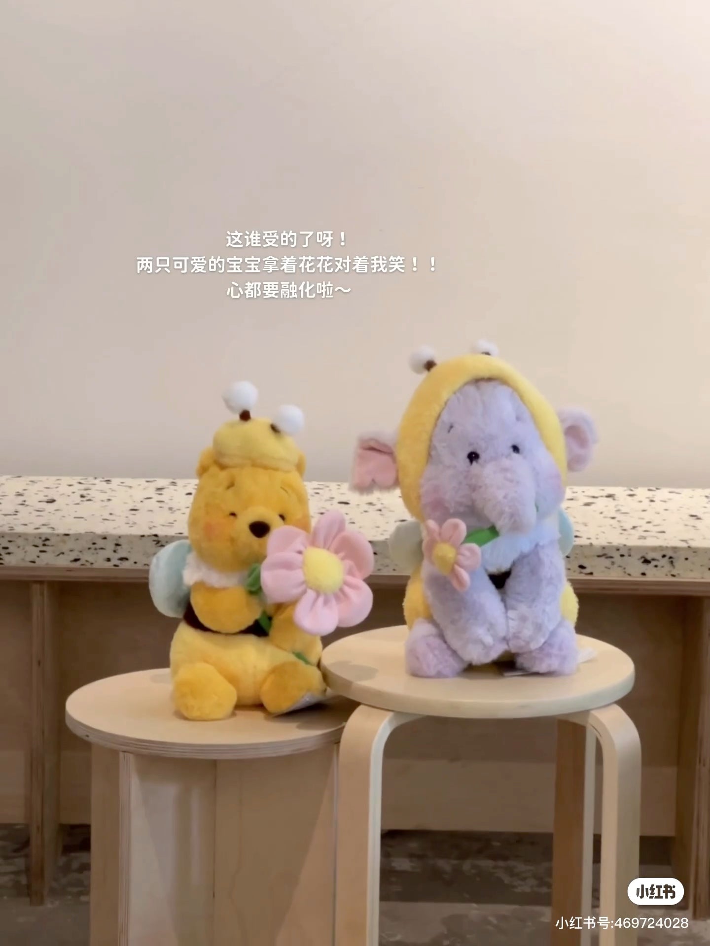 Disney|Flower Garden Plush Dolls/Plush Toy|H32×W18×D20cm approx.
