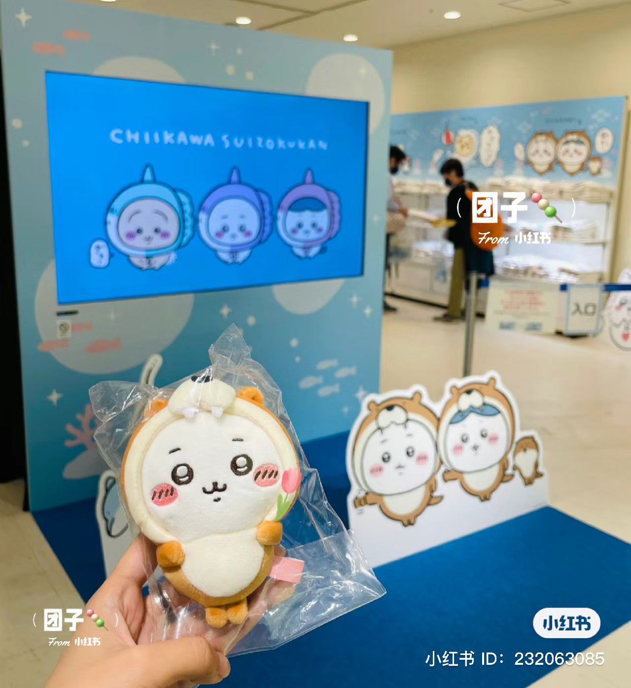 Chiikawa 吉伊卡哇|水族馆系列限定挂件