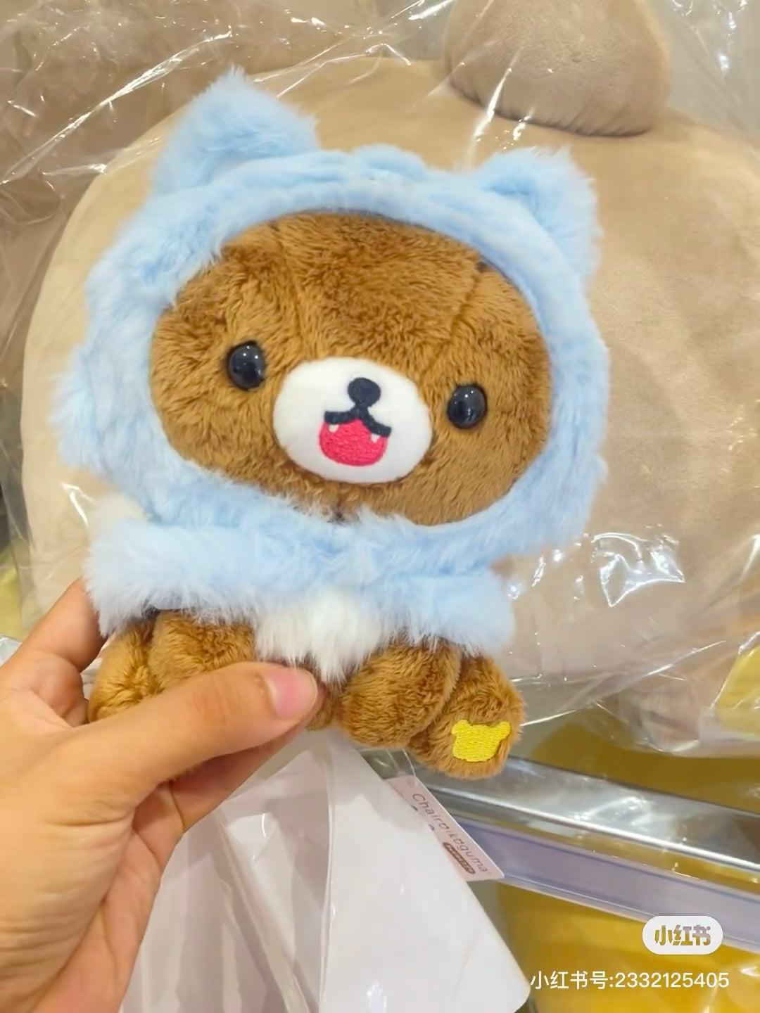 Rilakkuma轻松熊|AoKogu no Otomari - Plush Toy San-X新角色毛绒玩偶/公仔|约180×130×100mm