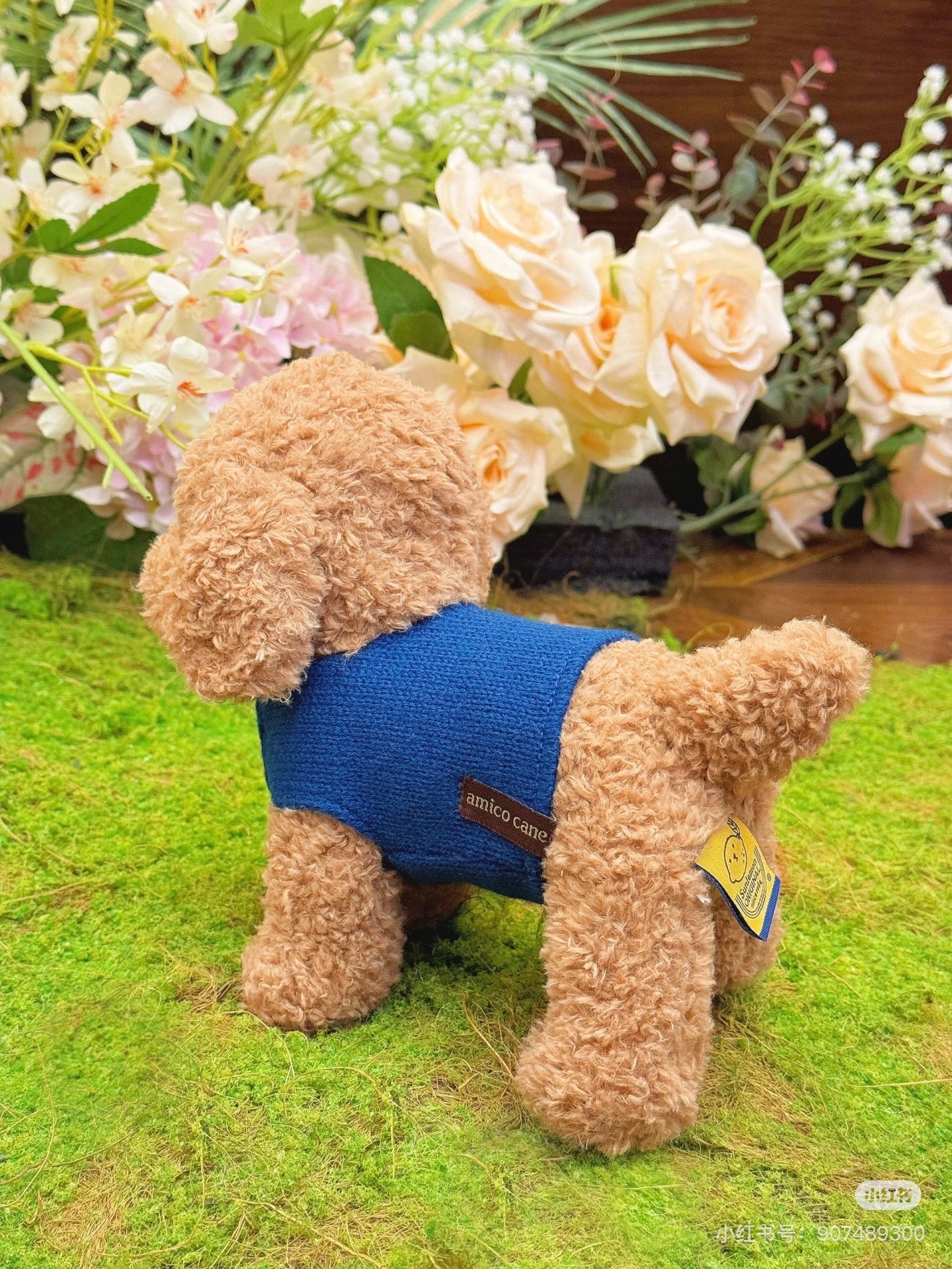 Sunlemon|Plush Doll amico cane - Toy Poodle Beige (M) |H20×W14×D25cm approx.