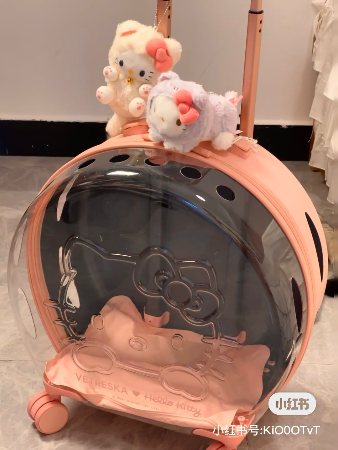 Sanrio|2024限定肉球猫咪/猫咪日系列可爱大脸挂件/包挂|约11.5 x 9.5 x 6.5cm