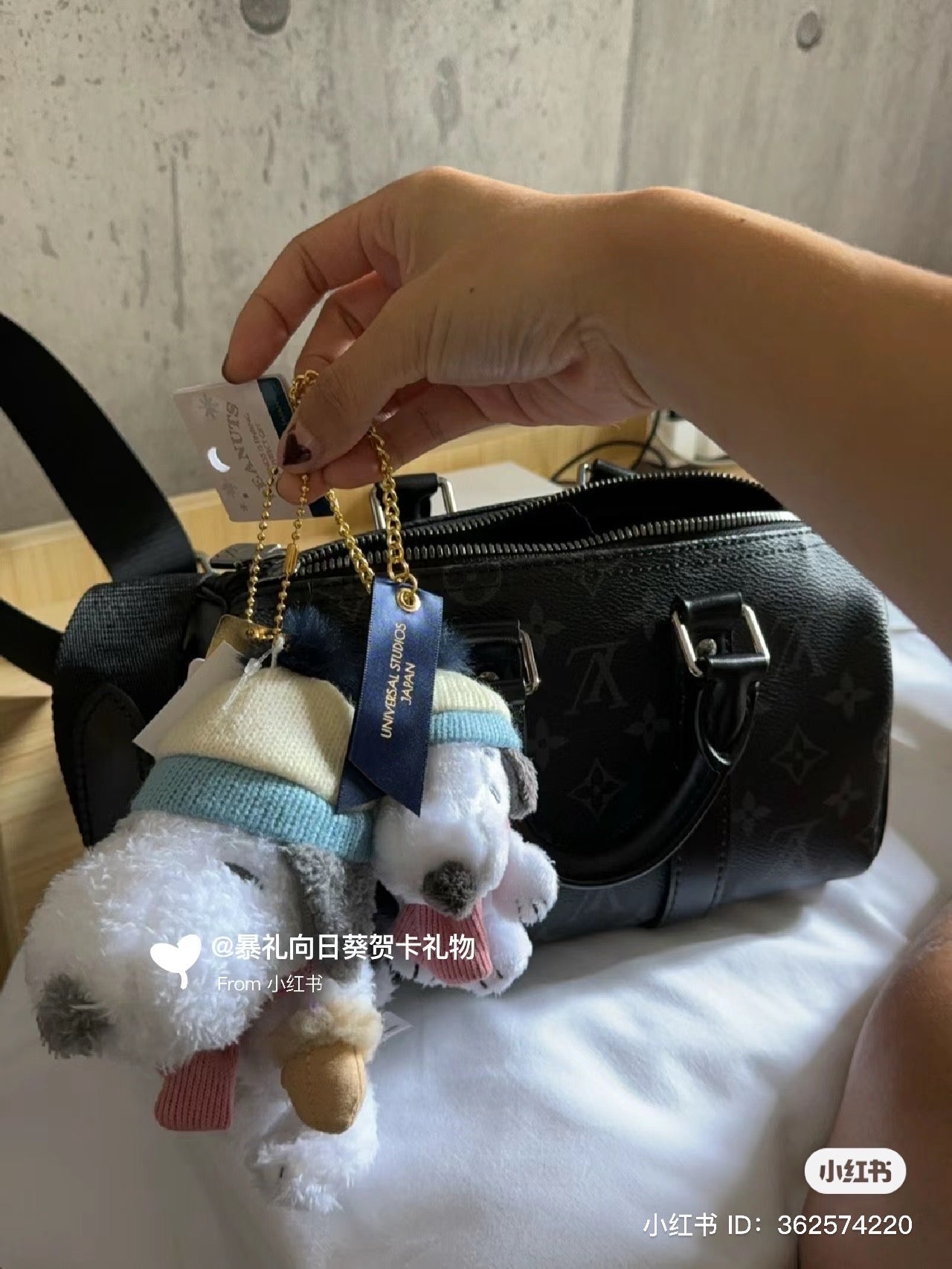 Snoopy|usj冬日限定HAPPINESS IS FINDING完美礼物系列史努比挂件|約W11cm×H17cm×D10cm