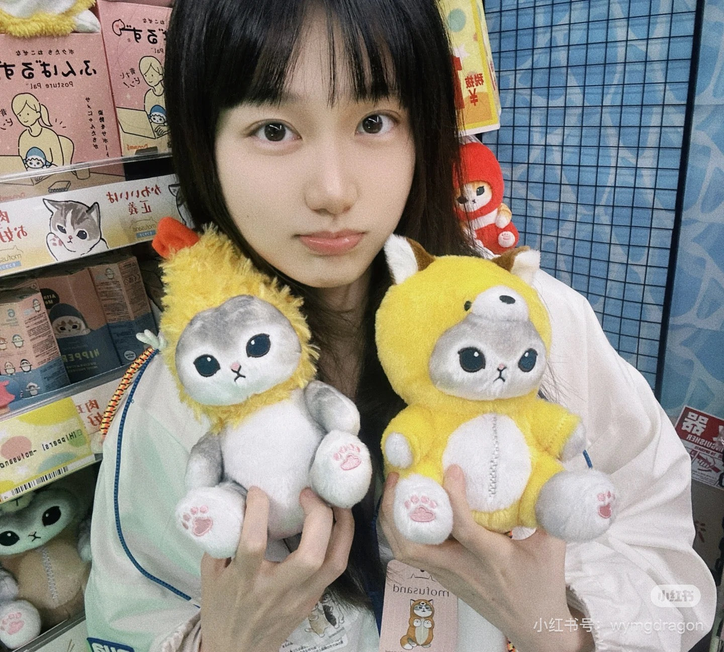 Mofusand|Chubby Potetama Plush Toy - Fox Cat : Kitsune Nyan Gray| 200×140×210mm approx.