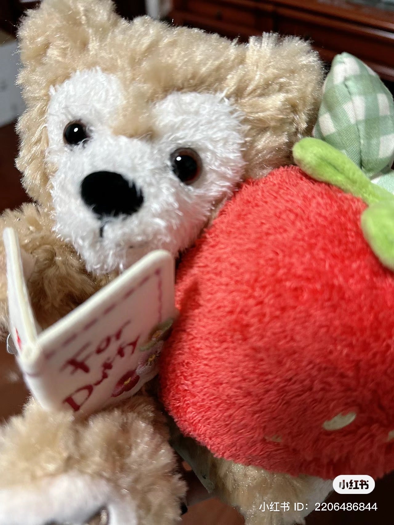 Disney迪士尼|草莓情人节限定达菲抱草莓公仔