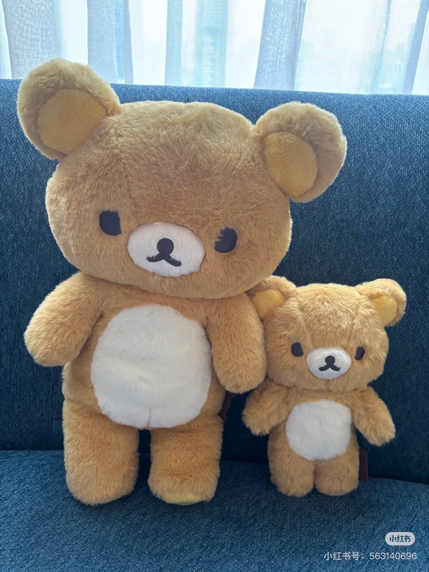 Rilakkuma轻松熊|San-X Plush Toy (M)/Wonderful House奇妙屋毛茸茸中号玩偶/公仔/背后有拉链|约400×250×140mm