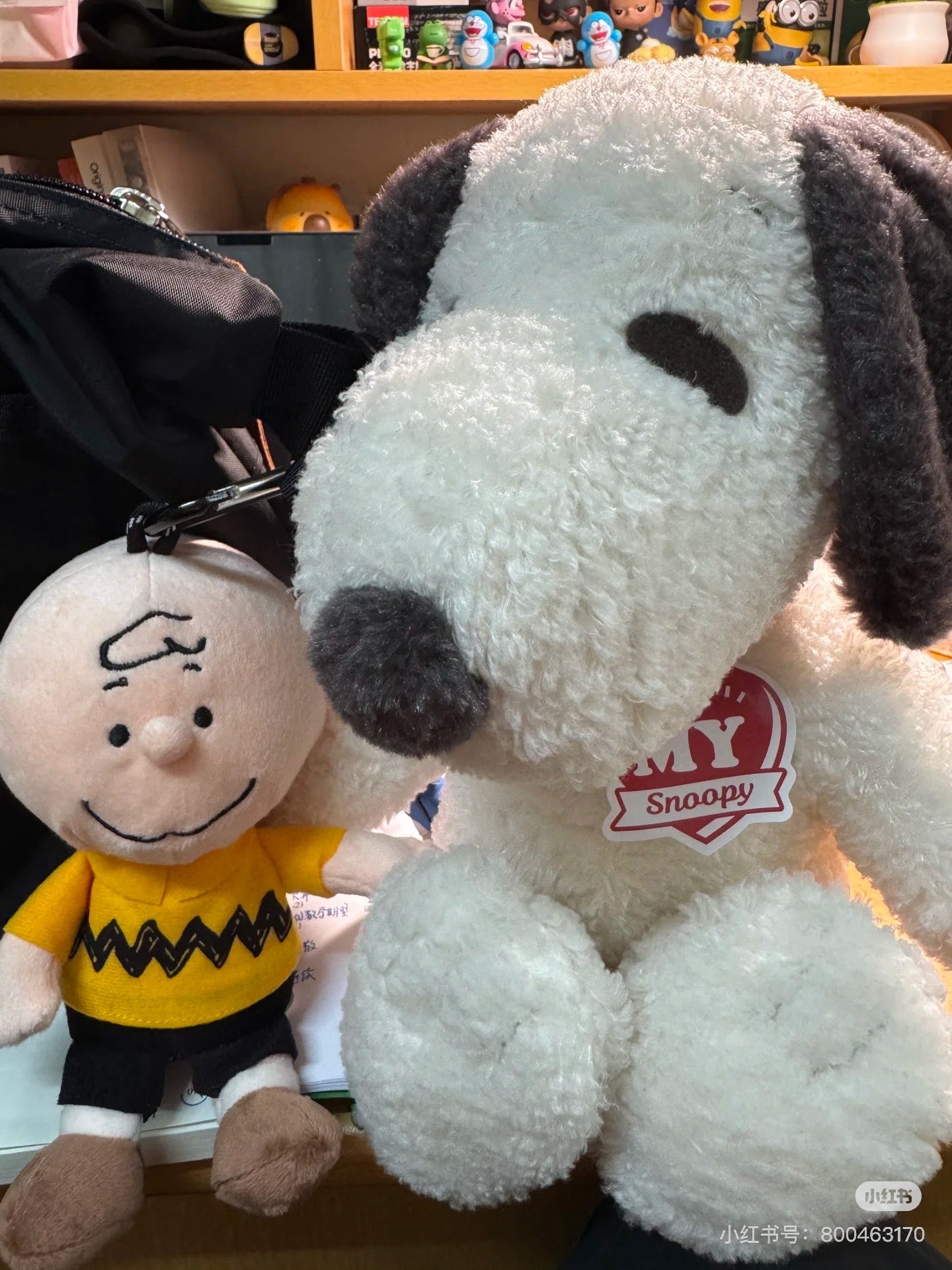 Snoopy|PEANUTS Hello! MY Snoopy Plush Dolls/Plush Toy|L/H58×W35×D25cm approx.