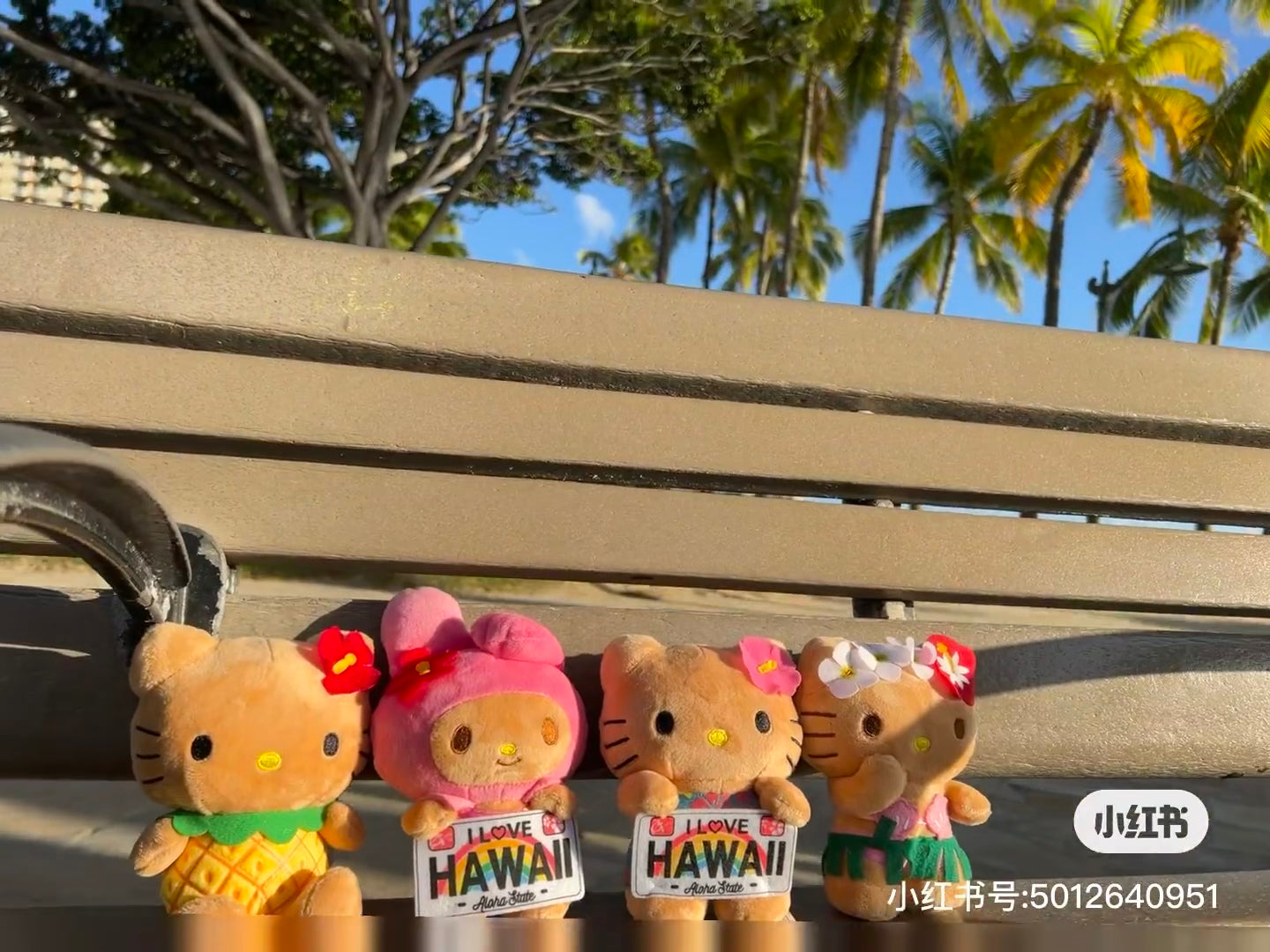 HelloKitty凯蒂猫|HAWAII夏威夷黑皮kitty限定玩偶/公仔