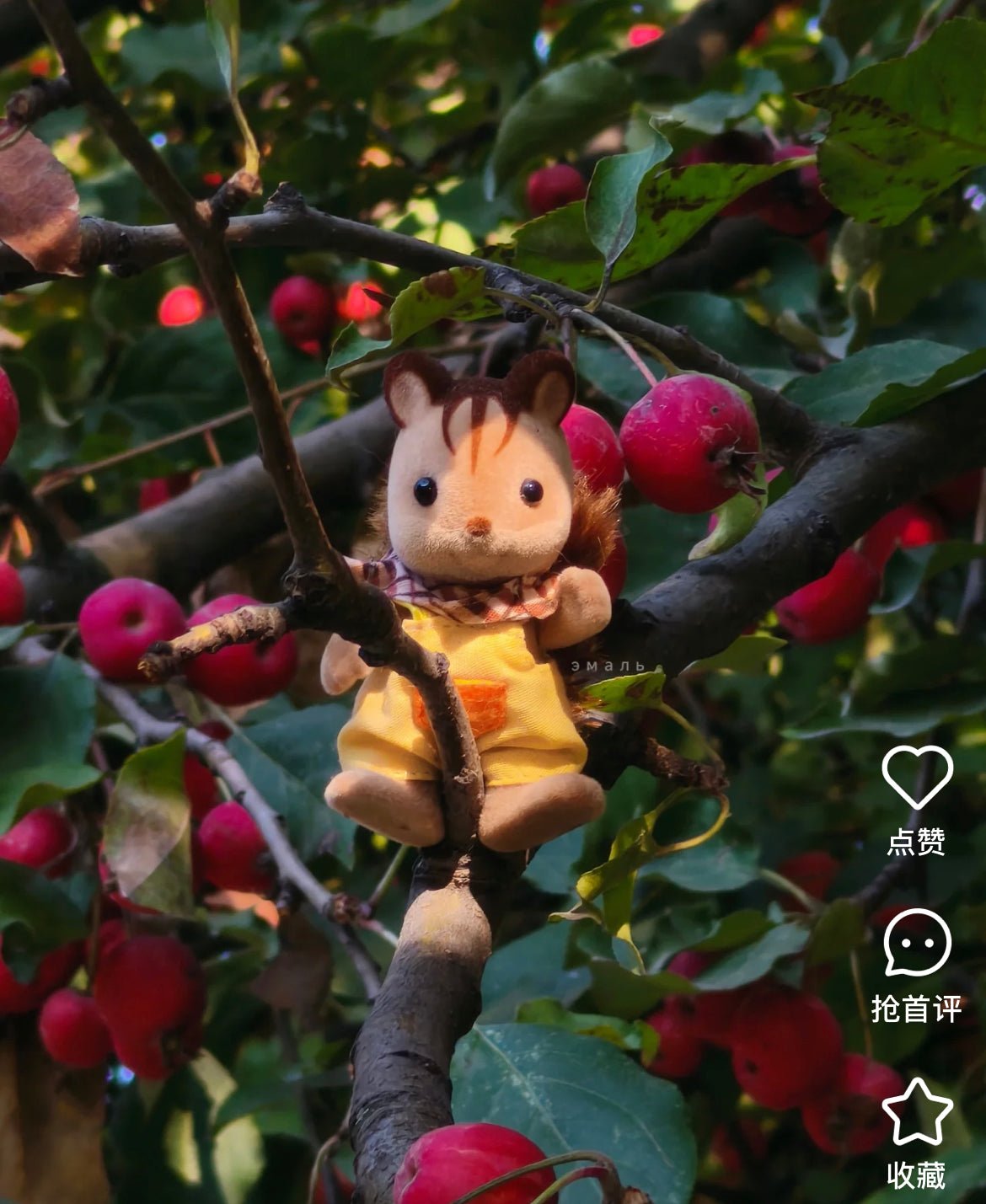 SylvanianFamilies|Walnut Squirrel Boy Doll