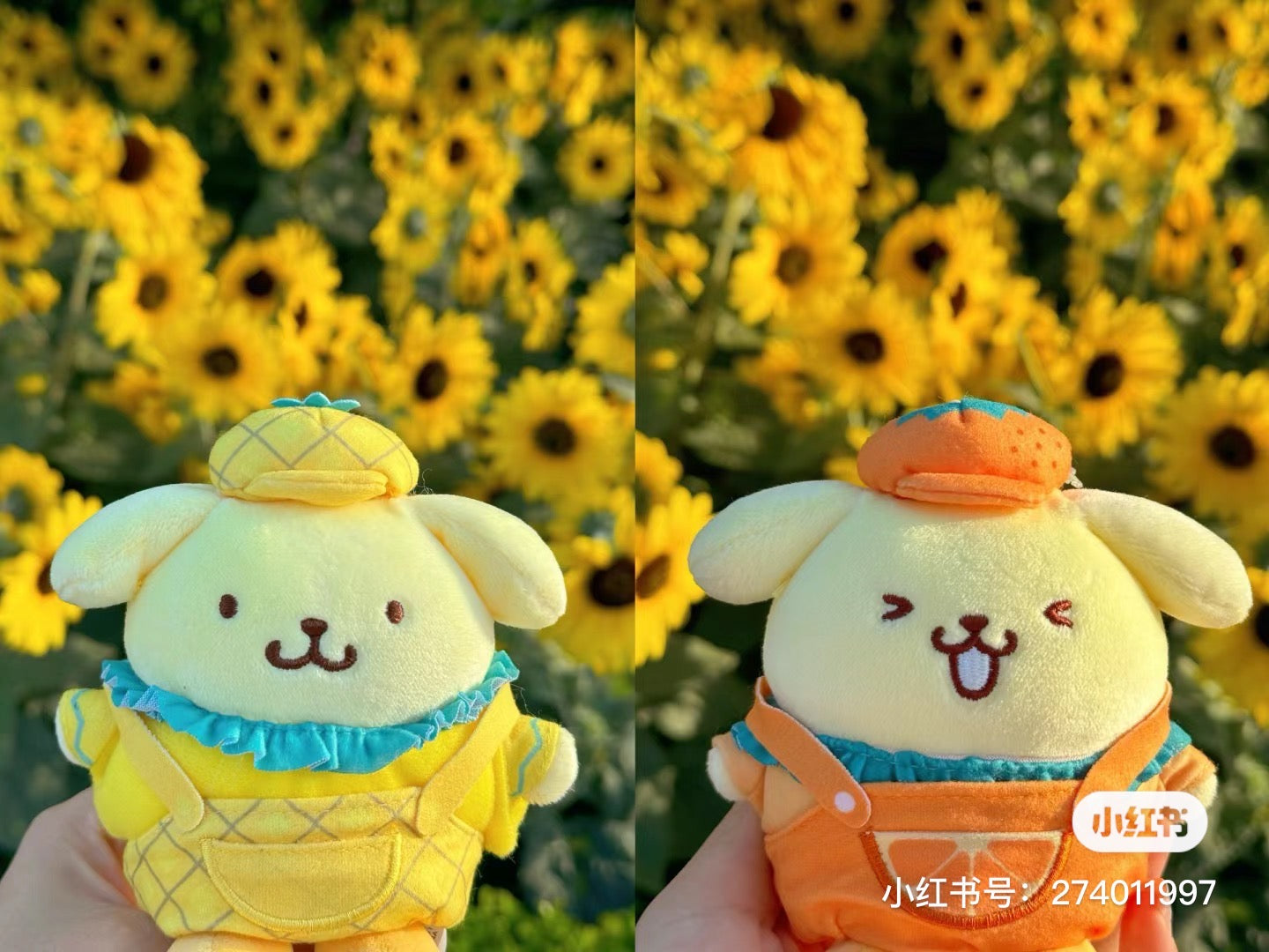 Sanrio三丽鸥|展会限定Pum Pum Purin布丁狗展会水果系列