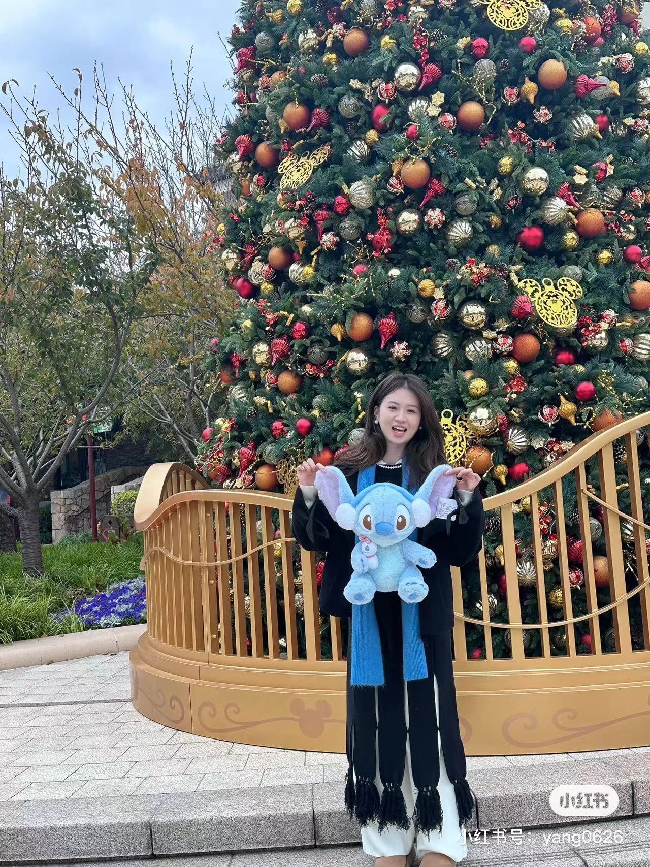 Disney SH|冬日限定史迪仔/史迪奇/stitch抱小金公仔/玩偶