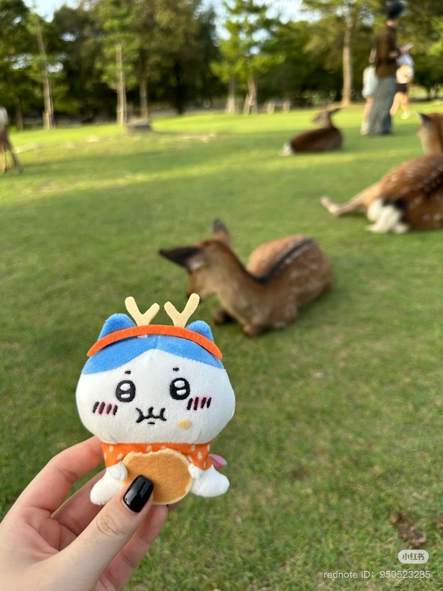 Chiikawa |Local Limited Deer Hanging Mascot Holder / keychain