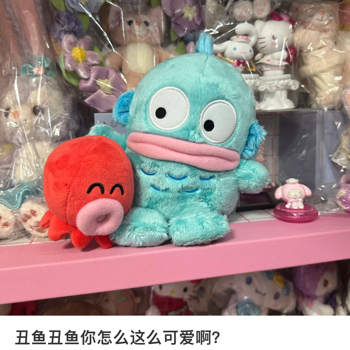 Sanrio|Hangyodon 40th Anniversary Happy Life Mascot Holder /Plush Keychain|8×8×9cm approx.