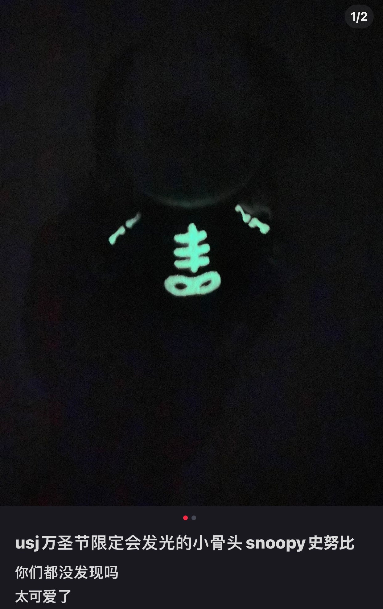 Snoopy|usj万圣节限定查理小挂件/衣服会夜光