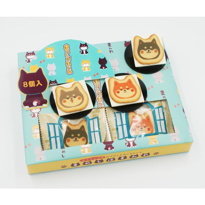 Eikodo铃木荣光堂|可爱柴犬巧克力饼干/零食|8枚【24.05.10】