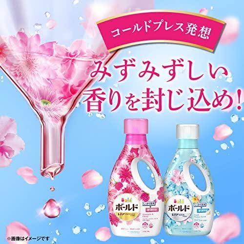 Bold|2合1 bold芳香洗衣液/洗得干净/留香持久/24h抗菌|750g