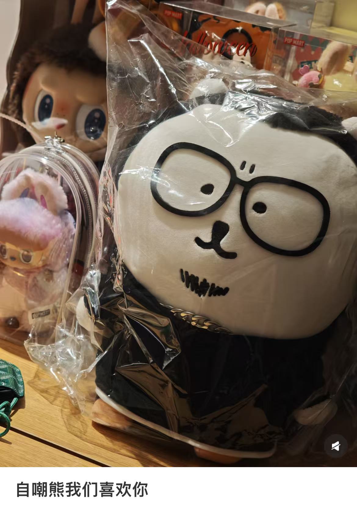 Nagano|Black Plush Dolls/Plush Toy|210 x 340mm approx.