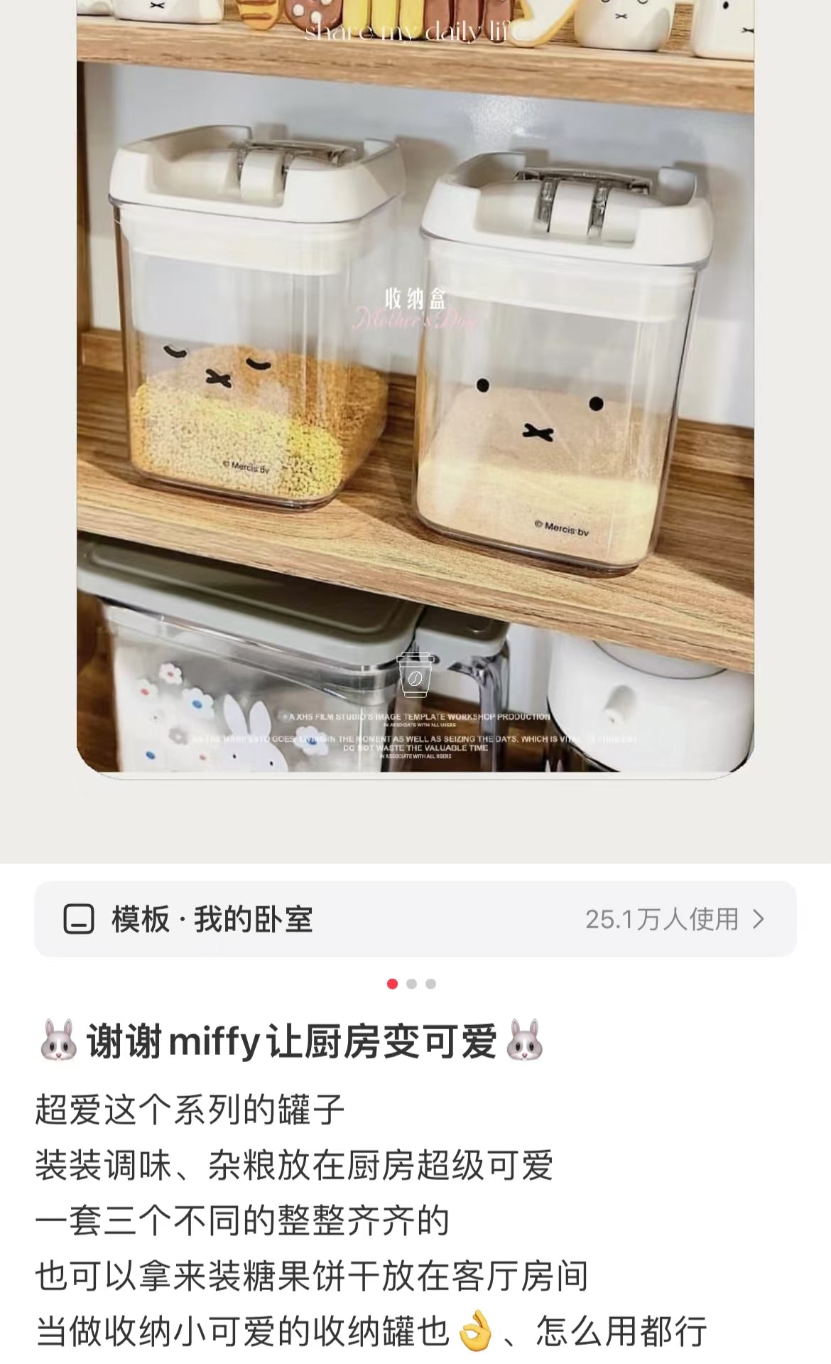 Miffy|Jar Small Storage Container|270ml approx.