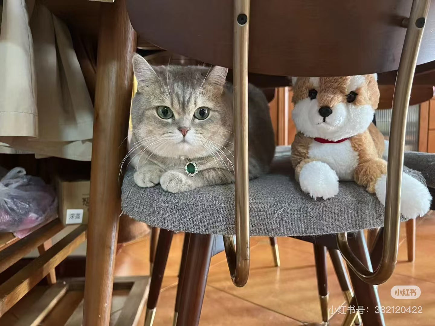 Sunlemon|Fluffy Plush Dolls/PlushToy|19x17x37cm approx.