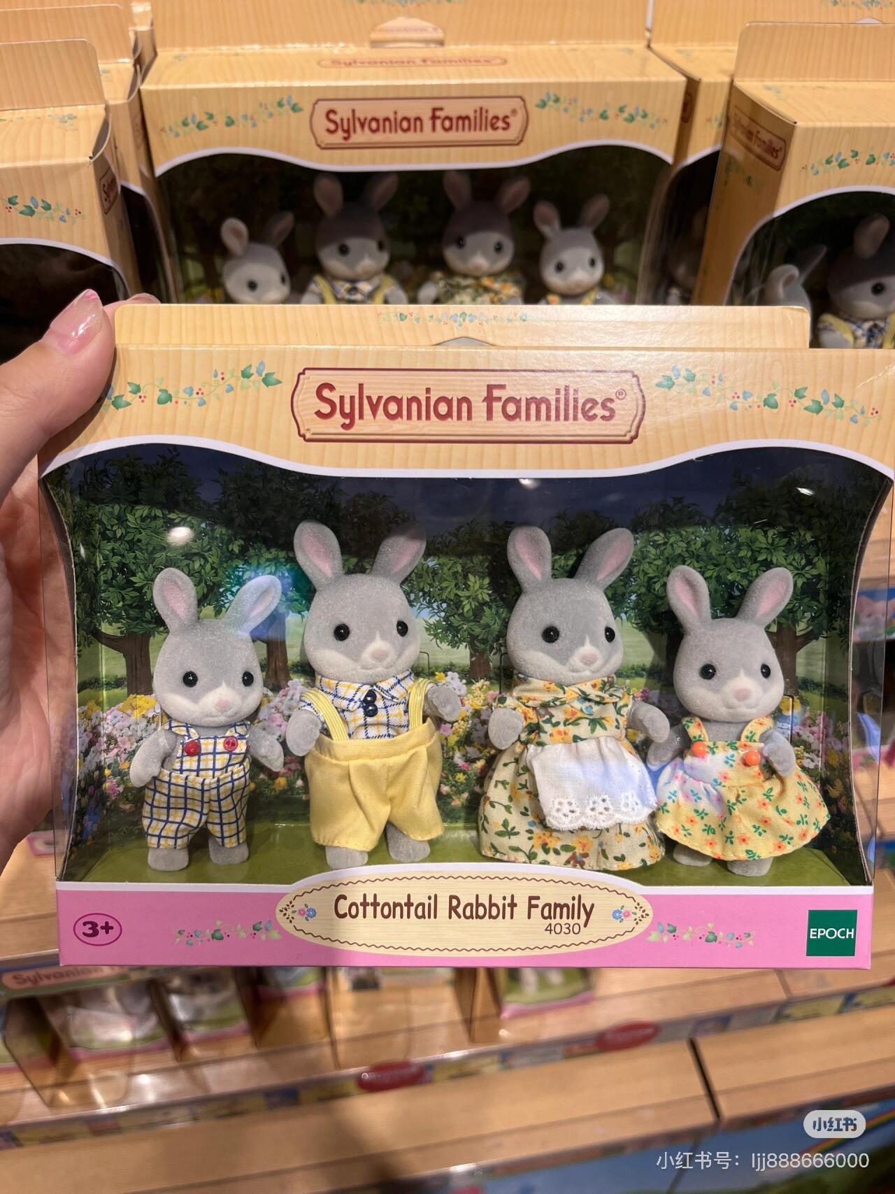 SylvanianFamilies|Cottontail Family Animal Rabbit Figure Doll Kids Playing Toy-4030
