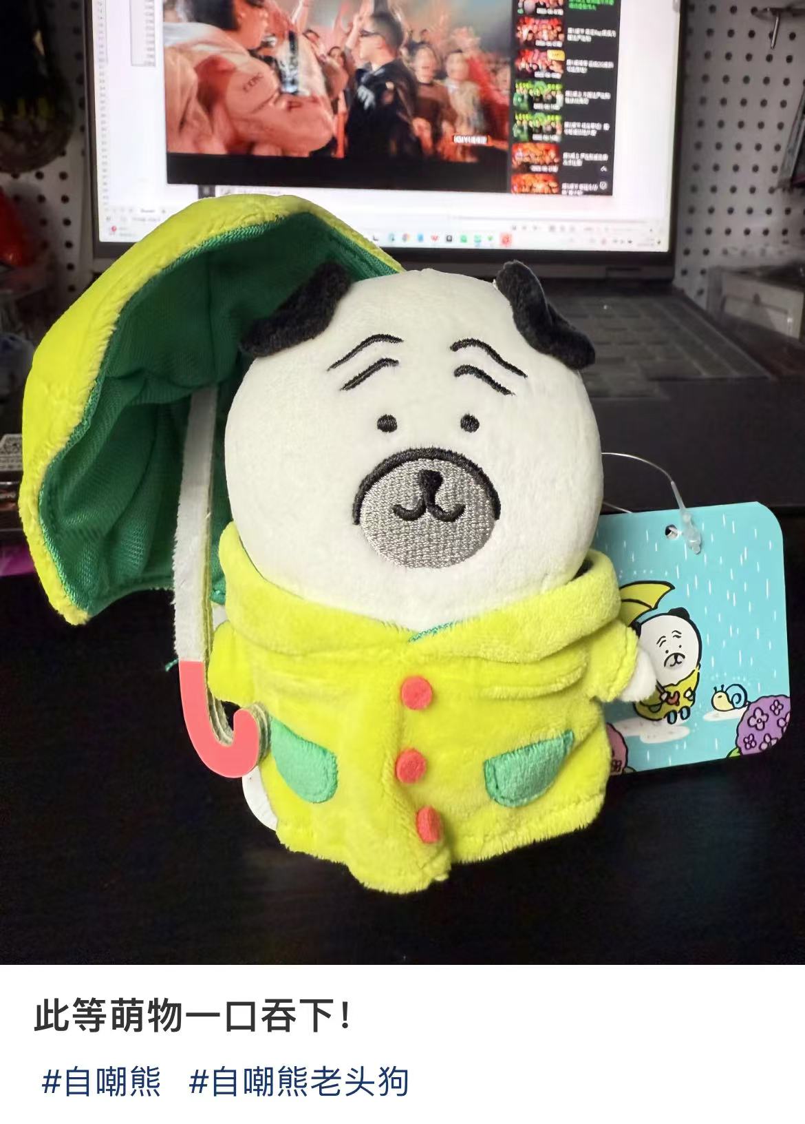 【limit 1】Nagano|Characters Rainy Day Mascot Holder /Plush Keychain|H135×W130×D80mm approx.