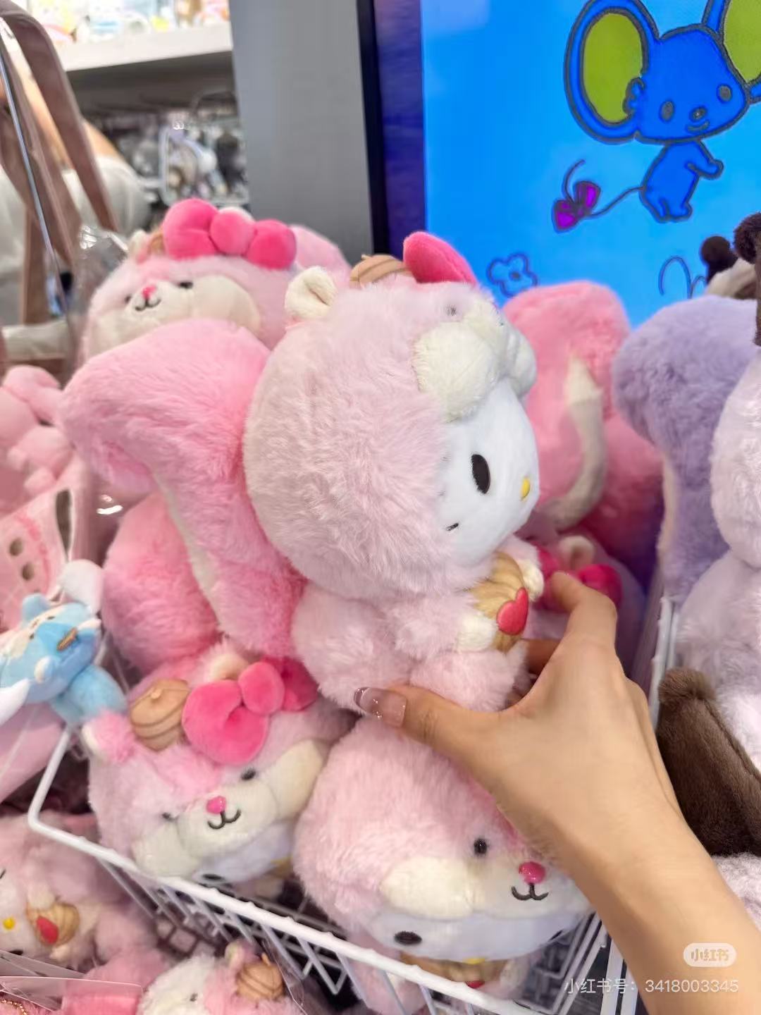 Sanrio|Squirrel series Plush Dolls/Plush Toy|15x21x21cm approx.