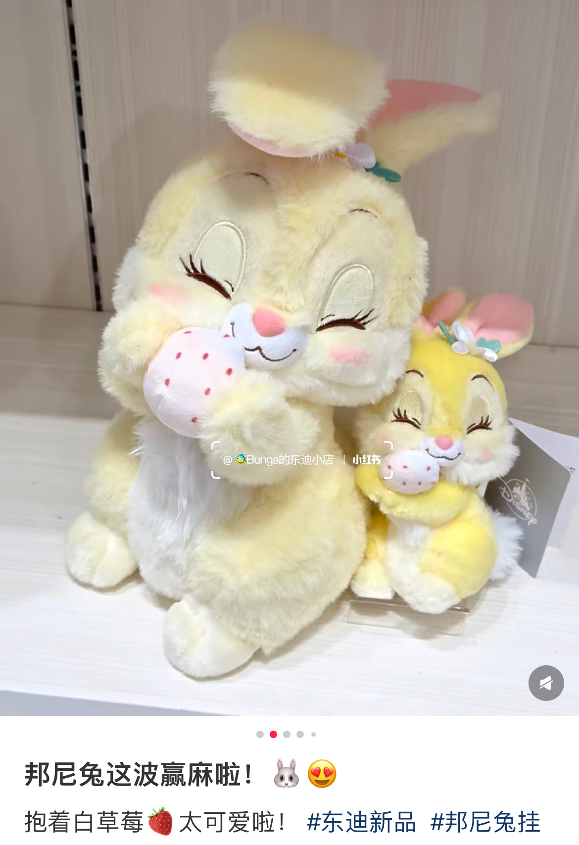 Disney|Strawberry Collection with Strawberry Scent Plush Dolls/PlushToy| H19×W12×D12cm approx.