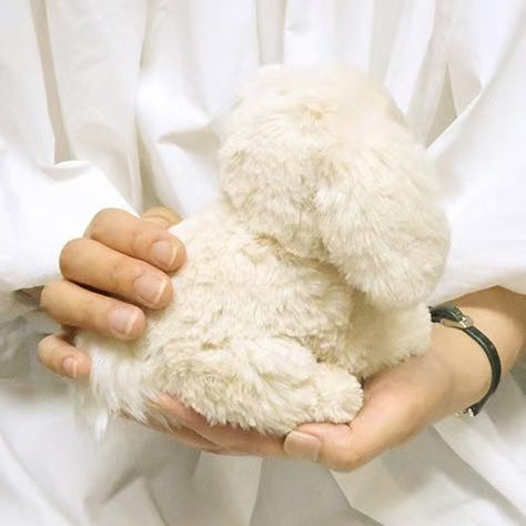 Sunlemon|Rabbit Plush Dolls/PlushToy|H17 x W12 x D16 cm approx.