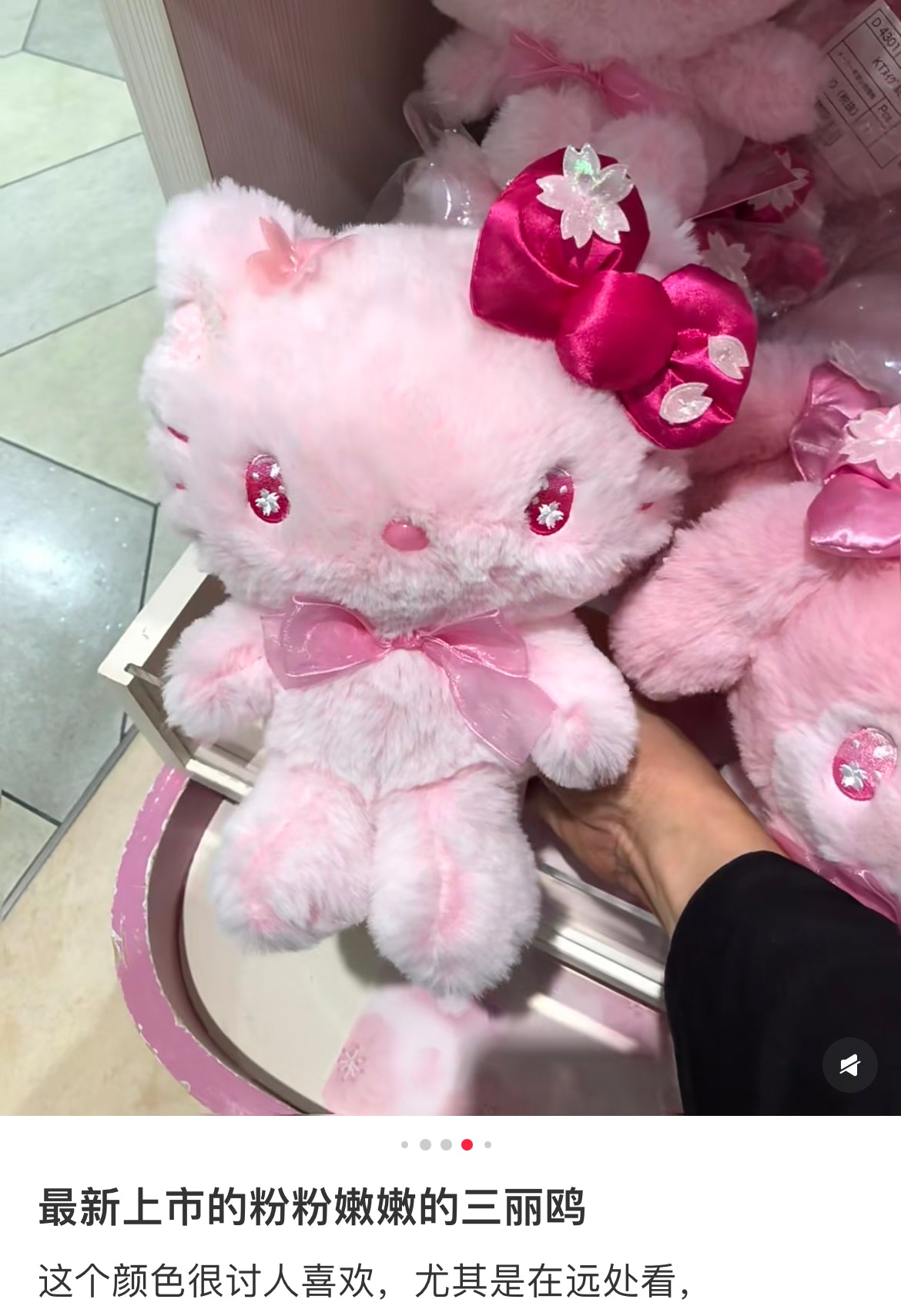 Sanrio|Sakura 2025 Plush Dolls/Plush Toy |23.9 x 17.3 x 9.0cm approx.