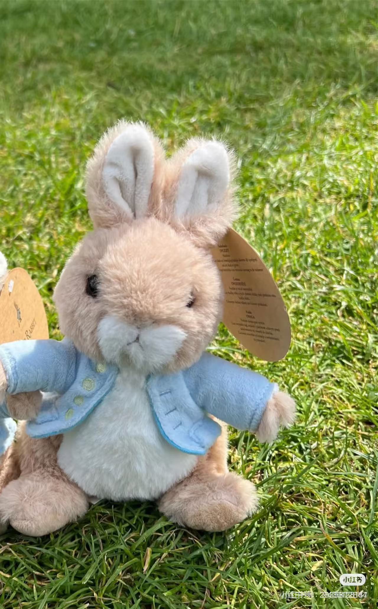Petter Rabbit|Fluffy Medium Plush Dolls/Plush Toy|S/H17 x W11 x D9cm approx.