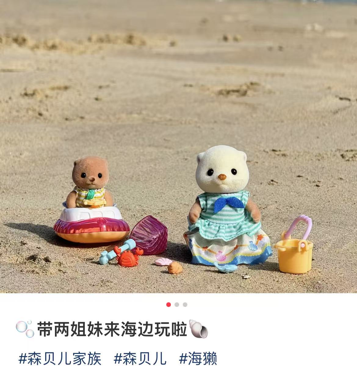 SylvanianFamilies|Sea Otter Sisters-Splashy Snorkel Set 5804