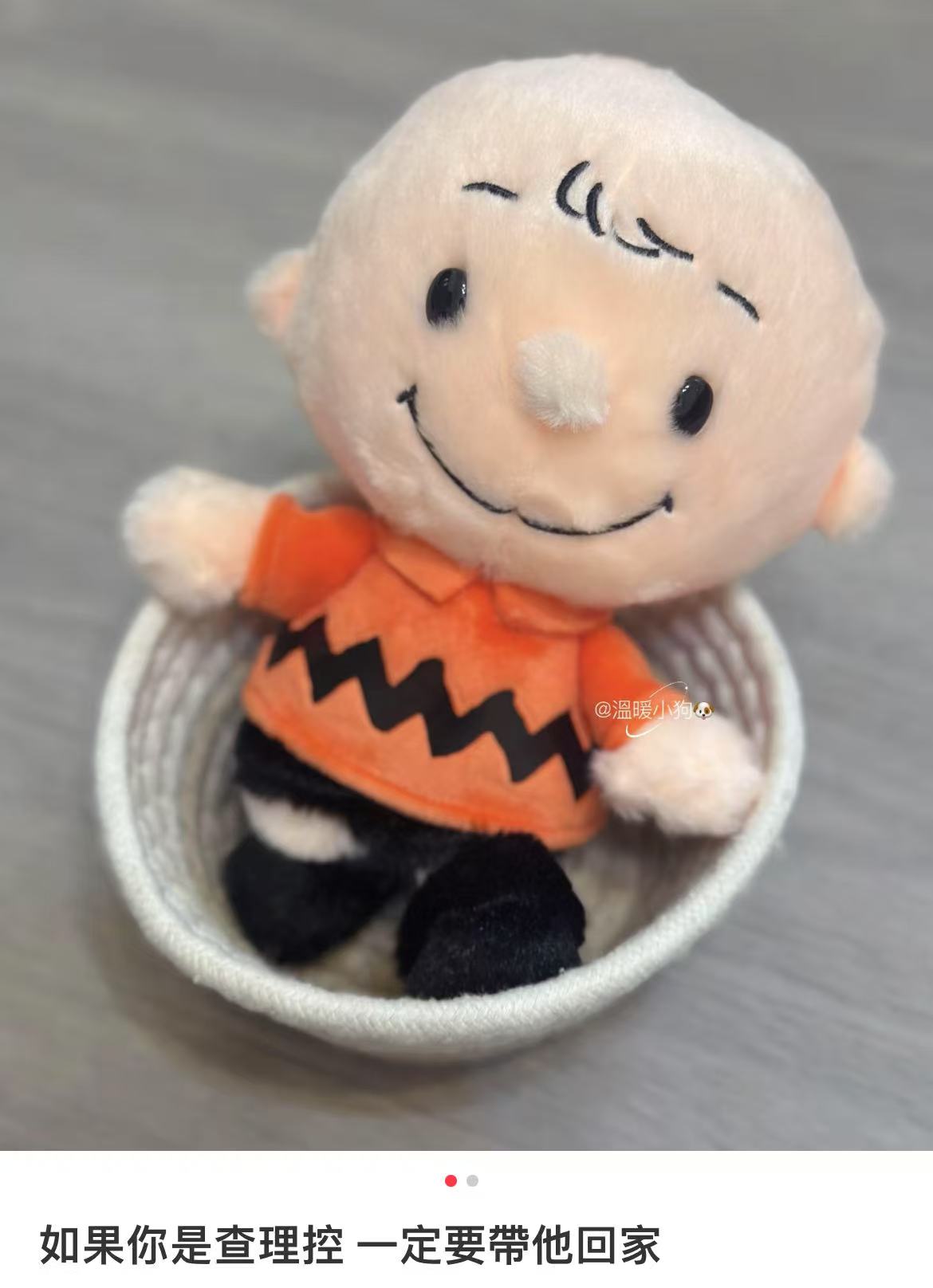 Snoopy|PEANUTS 50&