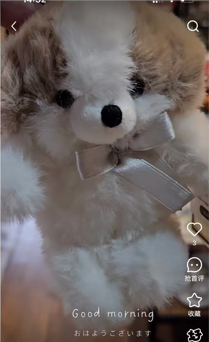 Ober Tashe|Animal B Mascot Holder /Plush Keychain|H12×W8×D4mm approx.