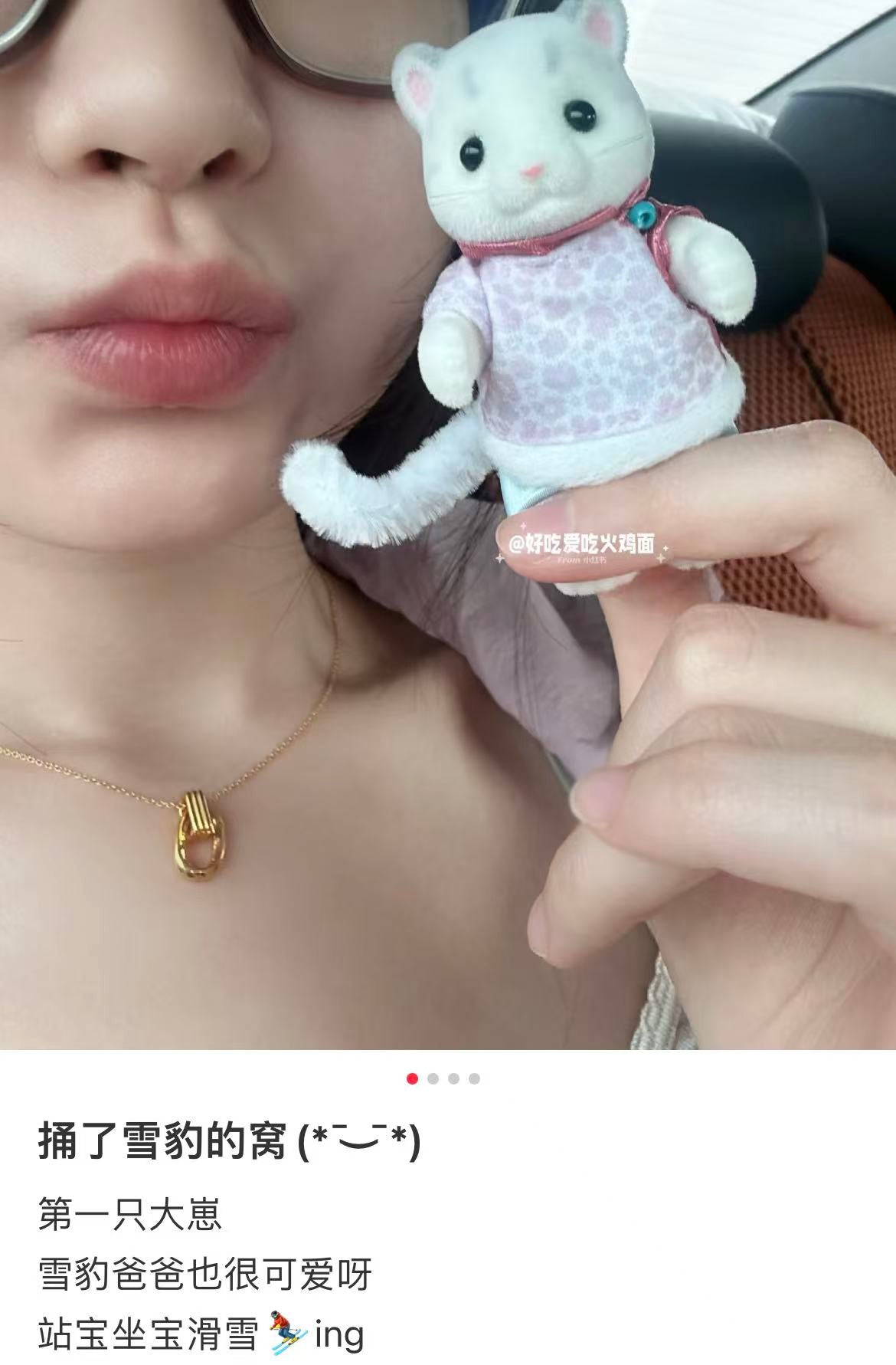 SylvanianFamilies|Snow Leopard Family 5814